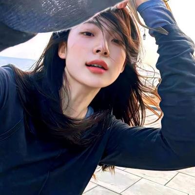 与鲨同游