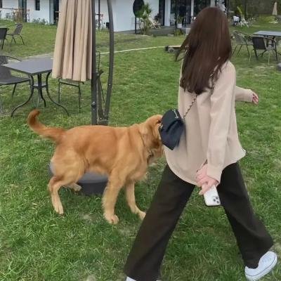 末栈之重生
