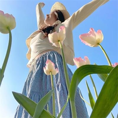 精灵高中